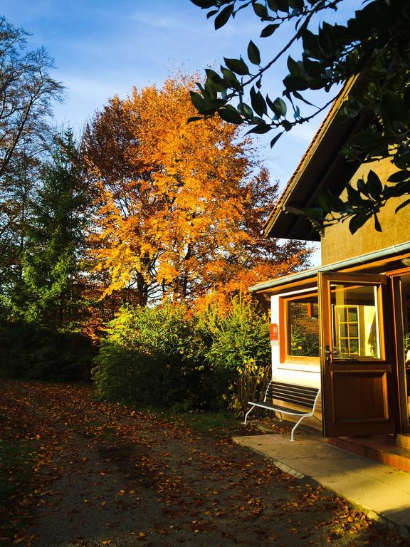 Le Chalet Luttenbach-pres-Munster Exterior photo