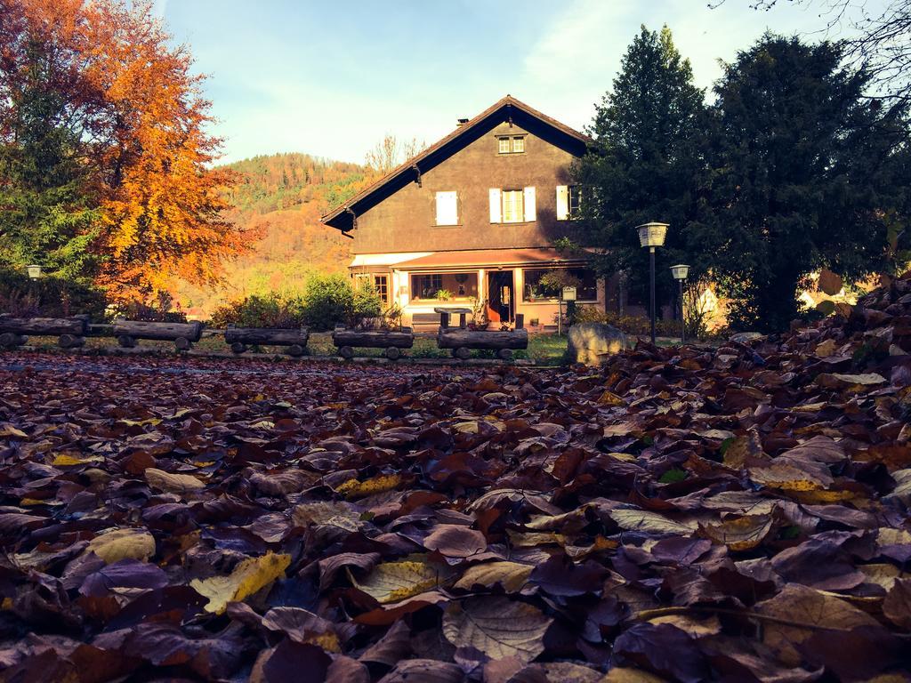 Le Chalet Luttenbach-pres-Munster Exterior photo