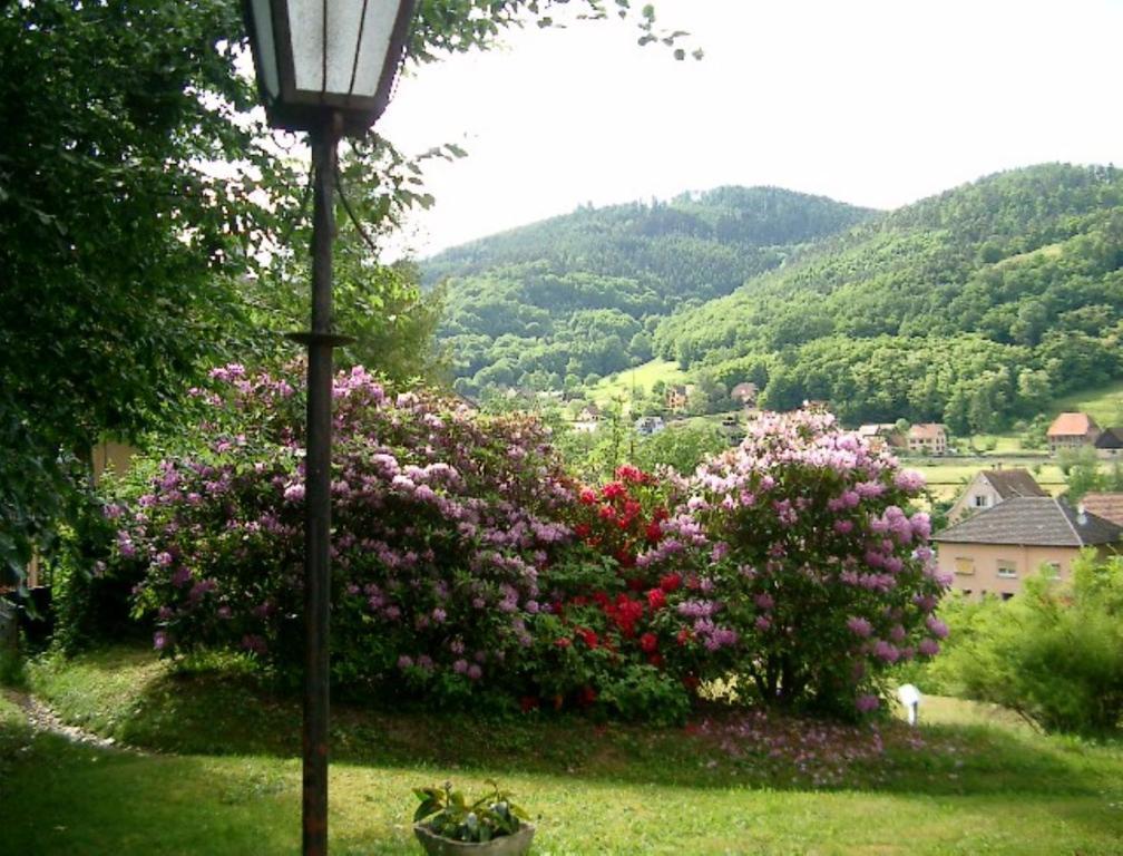 Le Chalet Luttenbach-pres-Munster Exterior photo